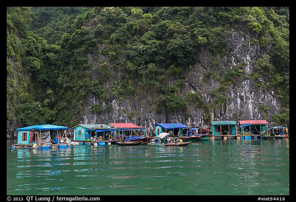 Vung Vieng fishing village. Halong Bay, Vietnam (color)