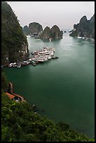 View over bay and boats from Surprise Cave exit. Halong Bay, Vietnam (color)