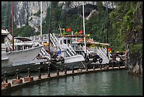 Tour boats at pier. Halong Bay, Vietnam (color)
