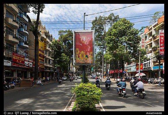 Leafy boulevard, district 5. Ho Chi Minh City, Vietnam