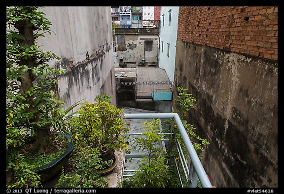 Potted plants on balcony garden. Ho Chi Minh City, Vietnam
