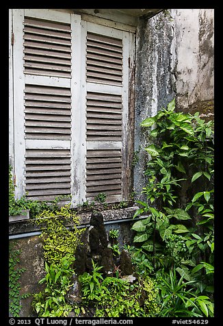 Plants and window shutters. Ho Chi Minh City, Vietnam