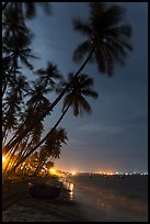 Beach at night with palm trees and coracle boat. Mui Ne, Vietnam ( color)