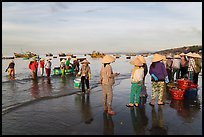 Group on beach with paniers of freshly caught shells, early morning. Mui Ne, Vietnam (color)