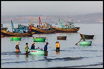 Fishermen use coracle boats to bring back catch from fishing boats. Mui Ne, Vietnam (color)