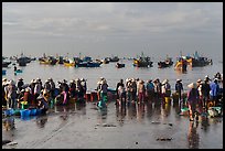 Crowds gather on wet beach for freshly caught seafood. Mui Ne, Vietnam ( color)