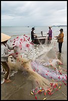 Woman folding fishing net. Mui Ne, Vietnam (color)