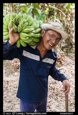 Man shouldering banana cluster. Ben Tre, Vietnam