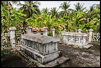 Graves in banana tree plantation. Ben Tre, Vietnam (color)