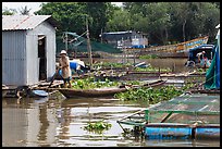 Man paddling out of houseboat. My Tho, Vietnam ( color)