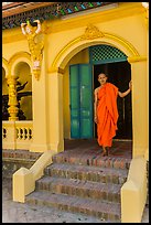 Monk standing in entrance, Ang Pagoda. Tra Vinh, Vietnam (color)