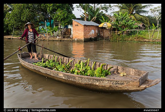 Woman paddling sampan loaded with bananas. Can Tho, Vietnam (color)
