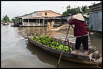 Woman paddling boat loaded with bananas. Can Tho, Vietnam ( color)