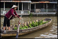 Woman paddling sampan boat loaded with bananas. Can Tho, Vietnam (color)