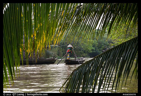 Woman paddling boat on river channel, framed by leaves. Can Tho, Vietnam