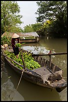 Woman unloading bananas from boat. Can Tho, Vietnam ( color)