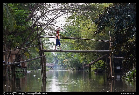 Villager crossing monkey bridge. Can Tho, Vietnam