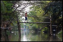 Villager crossing monkey bridge. Can Tho, Vietnam ( color)