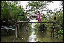 Woman traversing monkey bridge. Can Tho, Vietnam ( color)