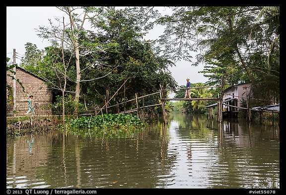 Riverside village and monkey bridge. Can Tho, Vietnam (color)