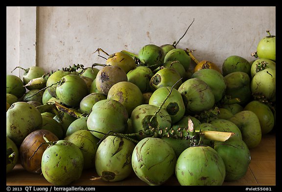 Coconuts. Can Tho, Vietnam (color)