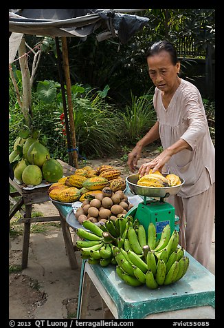 Woman selling fruit from roadside stand. Can Tho, Vietnam