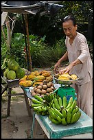 Woman selling fruit from roadside stand. Can Tho, Vietnam (color)