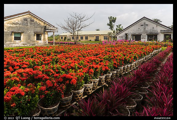Flower nursery. Sa Dec, Vietnam