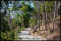 Trail, Bay Canh Island, Con Dao National Park. Con Dao Islands, Vietnam ( color)