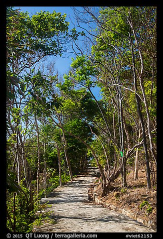 Trail through forest, Bay Canh Island, Con Dao National Park. Con Dao Islands, Vietnam