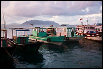Fishing boats, early morning, Con Son harbor. Con Dao Islands, Vietnam ( color)