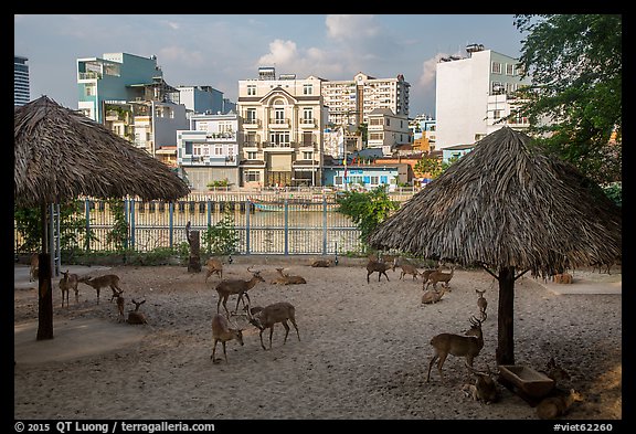 Saigon zoo and neighborhood across river. Ho Chi Minh City, Vietnam (color)