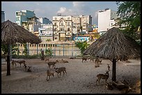 Saigon zoo and neighborhood across river. Ho Chi Minh City, Vietnam ( color)
