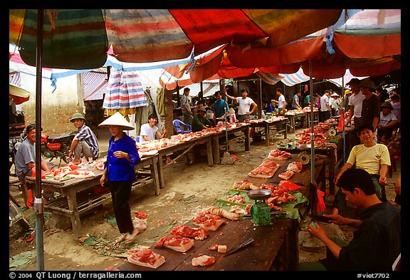 Meat for sale, That Khe market. Northest Vietnam (color)