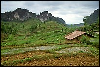 Fields, homes, and peaks, Ma Phuoc Pass area. Northeast Vietnam ( color)