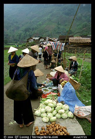 Vegetables for sale at an outdoor market near Ba Be Lake. Northeast Vietnam (color)