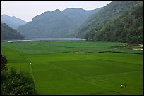 Rice fields below the Pac Ngoi village on the shores of Ba Be Lake. Northeast Vietnam