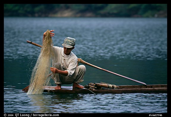 Fisherman retrieves net from a dugout boat. Northeast Vietnam (color)