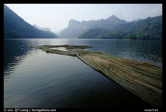 Wood being floated on Ba Be Lake. Northeast Vietnam (color)
