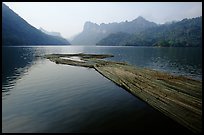 Wood being floated on Ba Be Lake. Northeast Vietnam ( color)