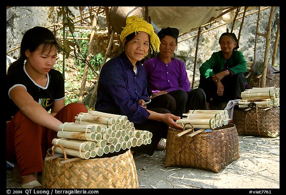 Women selling sweet rice cooked in bamboo tubes. Vietnam