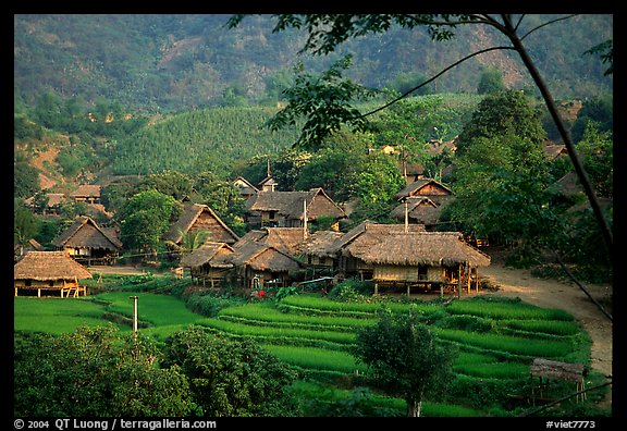 Thai village of stilt houses, near Mai Chau. Northwest Vietnam