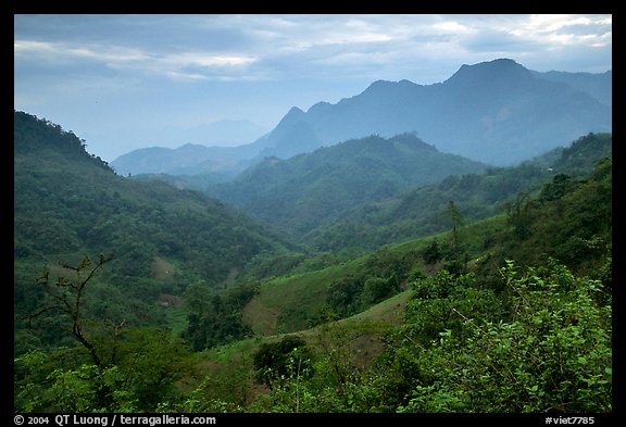 Lush mountain scenery between Moc Chau and Yeu Chau. Northwest Vietnam