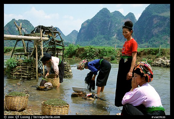 Thai women washing laundry and collecting water plants near an irrigation wheel, near Son La. Northwest Vietnam (color)
