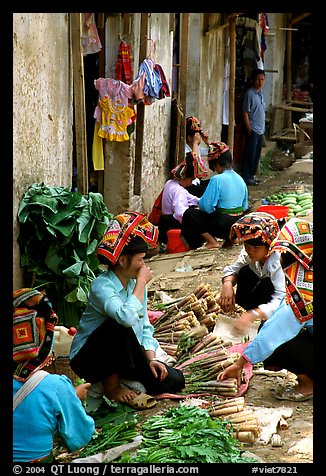 Thai women in the market, Tuan Chau. Northwest Vietnam (color)