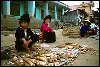 Thai women selling bamboo shoots, Tuan Giao. Northwest Vietnam (color)