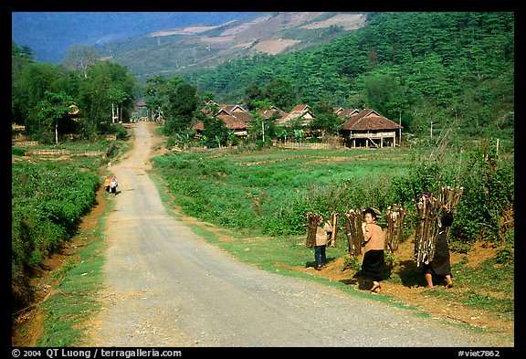 Family carrying logs walking towards their village, between Tuan Giao and Lai Chau. Northwest Vietnam