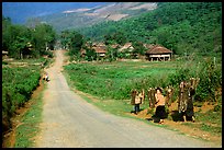 Family carrying logs walking towards their village, between Tuan Giao and Lai Chau. Northwest Vietnam (color)