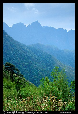 Forests and peaks in the Tram Ton Pass area. Sapa, Vietnam (color)