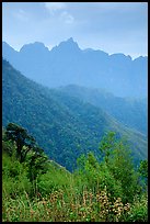 Forests and peaks in the Tram Ton Pass area. Sapa, Vietnam ( color)